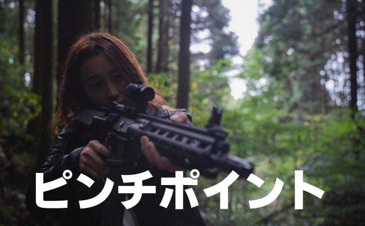 ピンチポイント